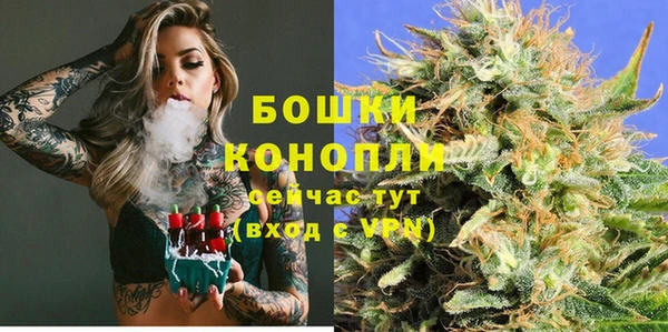 прущие грибы Аркадак