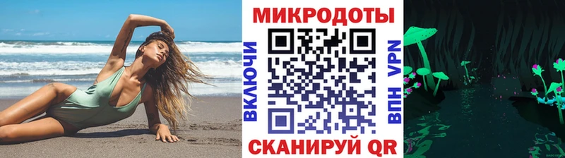 Псилоцибиновые грибы Psilocybe  наркотики  Краснодар 
