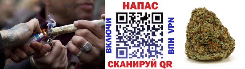 даркнет сайт  Краснодар  Бошки марихуана индика 
